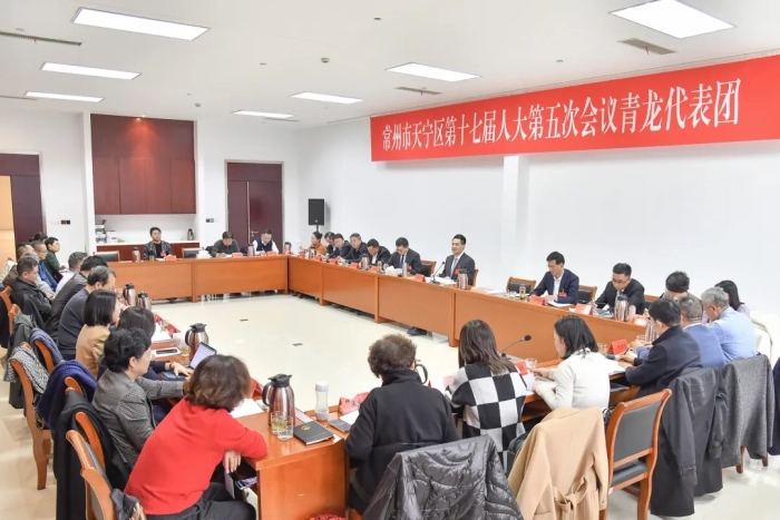 张凯奇、李皓参加人大代表团审议