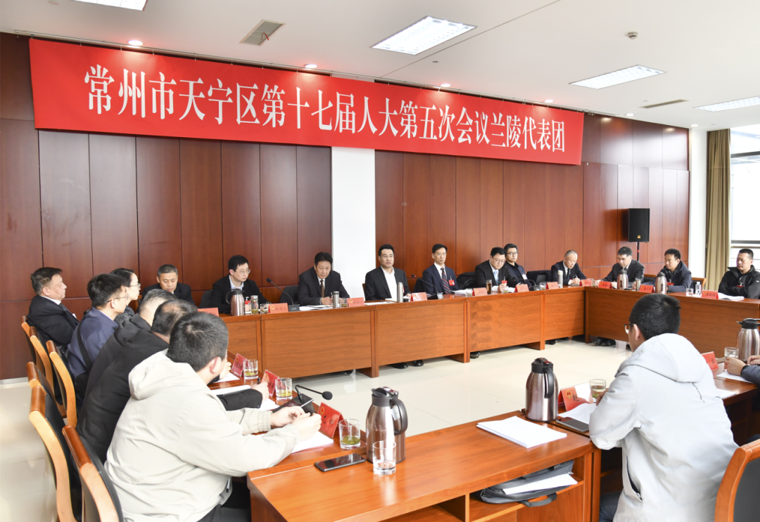 张凯奇参加人大代表团审议